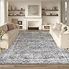 Area Rug 8x10 Gray Large Living Room,Machine Washable Rug,Stain Resistant Soft Thin Carpet,Boho Vintage Home Decor,Indoor Non-Slip Rugs,for Bedroom,Office,Farmhouse,Dining,Dorm