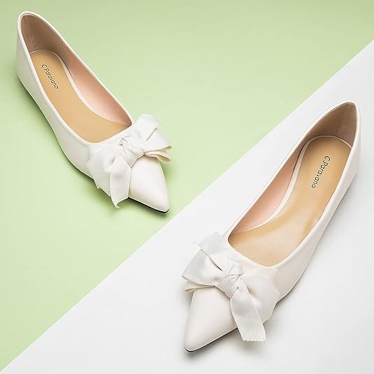 C.Paravano Pointed Toe Flats for Women | Women Flats | Bow Knot Ballet Flats